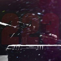 223 - Single - Skeletxrn