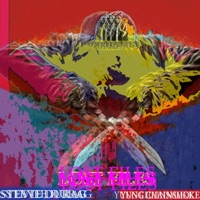 Lost Files - EP - Stevie Durag
