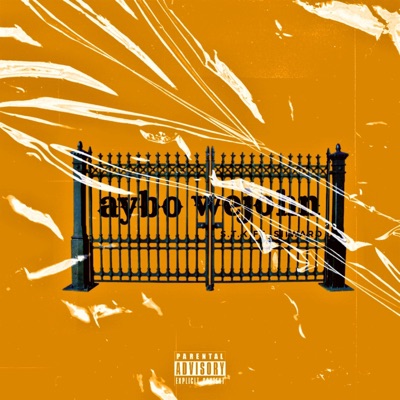 Aybo Wejohn (feat. Siiward) - Single