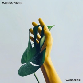 Wonderful Marcus Young