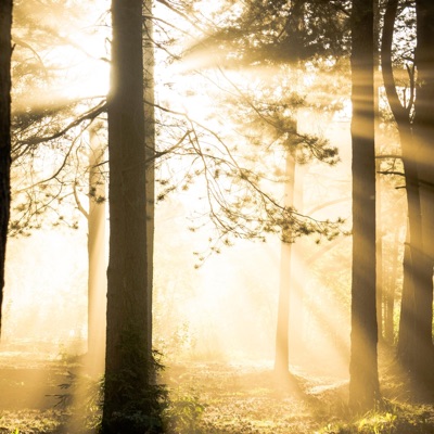 Viss mainījies - Single