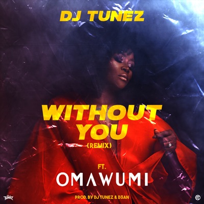 Without You (feat. Omawumi) [Remix] - Single