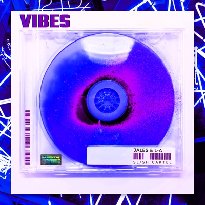 Vibes - Single