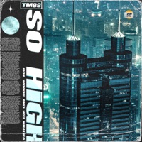 So High - Single - TM88, Wiz Khalifa & Roy Woods