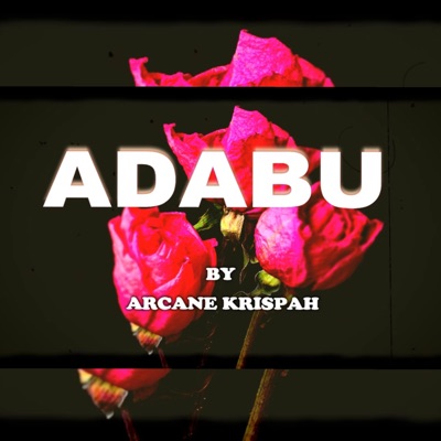 Adabu - Single