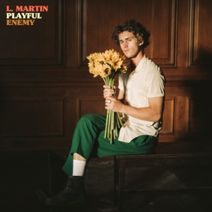 Playful Enemy - EP
