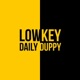 Daily Duppy feat GRM Daily Single