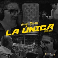 La Única: Homenaje - Single - Toninho Boza & César Zarate