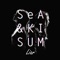 Liar (Instrumental) - Kisum & Se.A lyrics