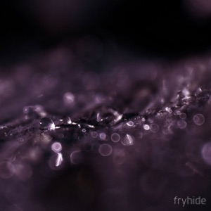 Stitch / Obsidian Wire - Single