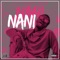 Nani (feat. Slumkidd) - E.R. lyrics