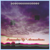 Accusations - Single - Princodus Dj