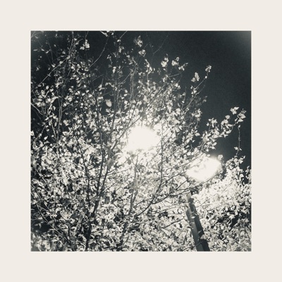 Where Will We Go (feat. Deanna DiLandro) - Single