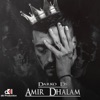 Amir Dhalam - Single