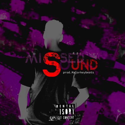 Missed Sound - Single