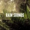 Wet Nature - Rain Sounds Lab lyrics