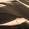 You Guided Me - Leandro Da Silva & Nessi Gomes lyrics