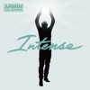 Intense (Bonus Track Version), 2013