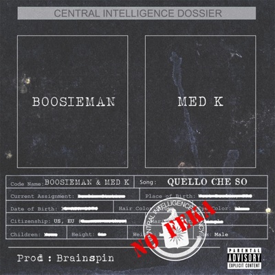 Quello Che So (feat. Med_K & Brainspin) - Single