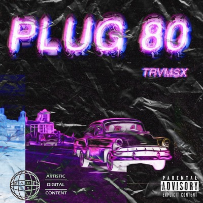 PLUG 80
