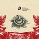 Octave Wave Single