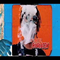 Burlatín - Single - Z Cartiel