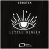 Little Bigger - Single