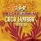 Coco Jamboo (Mousse T.'s Club Mix) [Radio Edit] - Mr. President lyrics