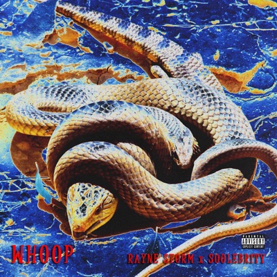 Whoop (feat. Soulebrity) - Single