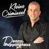 kleine crimineel