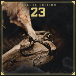 23 (Deluxe Edition) - 23 Cover Art