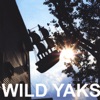 Wild Yaks