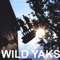 River May Come - Wild Yaks lyrics