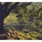 I'll Smile - Denise Young lyrics