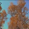 Blinders (feat. Brunch Collect) - Paklite lyrics