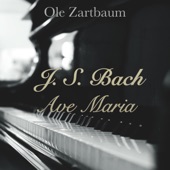 Bach: Ave Maria artwork