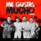 Me Gustas Mucho (feat. Alkilados) [Remix] - Jorge Celedón & Alkilados lyrics