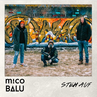 Steh auf (feat. Balu) - Single