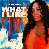 What I Like - Single - Tinywiings