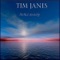 Reflections - Tim Janis lyrics
