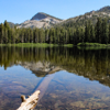 Loopable Relaxing Cicada Orhestra - Crickets - Tinnitus Sleep Solution