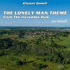 The Lonely Man Theme: The Incredible Hulk - Allysson Gemelli