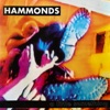 Hammonds