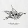 Little Birds - EP - Daniel Robinson