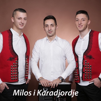 Milos i Karadjordje - Skijasica