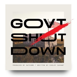 Govt Shutdown Cooley Savant