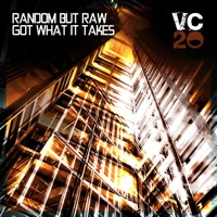 Got What It Takes - Single - Random But Raw