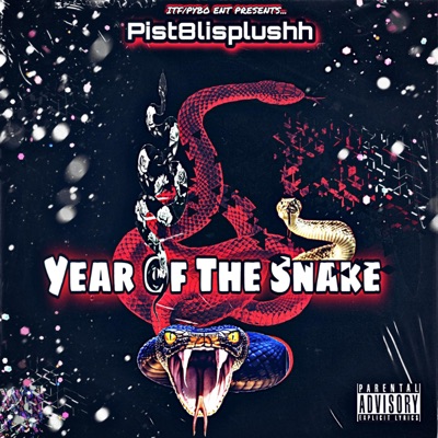 Year of the Snake