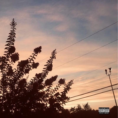 Iloveitwhentheyhateit - Single