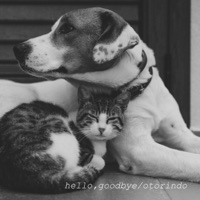 hello,goodbye - Single